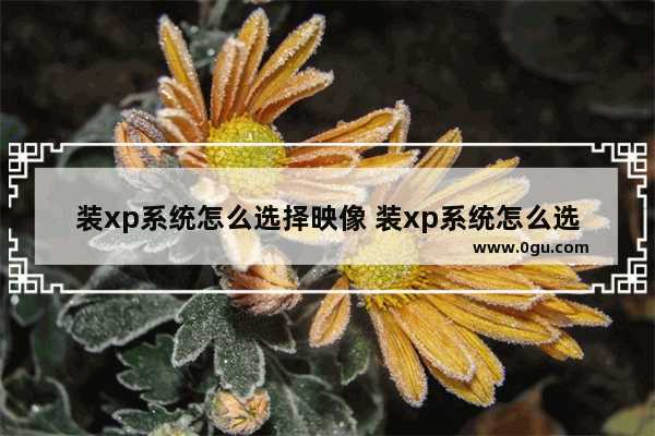装xp系统怎么选择映像 装xp系统怎么选择映像文件夹