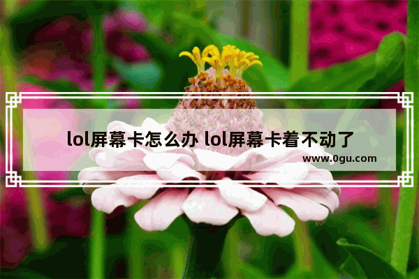 lol屏幕卡怎么办 lol屏幕卡着不动了