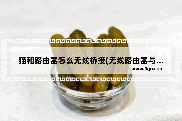 猫和路由器怎么无线桥接(无线路由器与电信猫无线桥接)