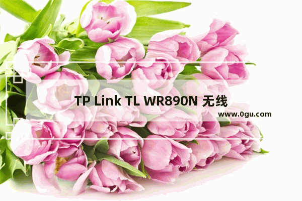 TP Link TL WR890N 无线路由器上网设置