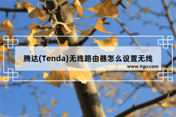 腾达(Tenda)无线路由器怎么设置无线网络Wi Fi?