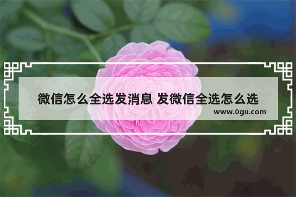 微信怎么全选发消息 发微信全选怎么选