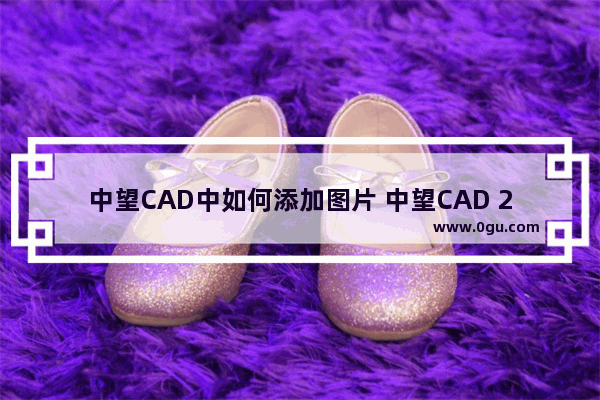 中望CAD中如何添加图片 中望CAD 2023插入图片的方法