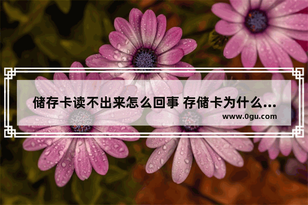 储存卡读不出来怎么回事 存储卡为什么读不出来