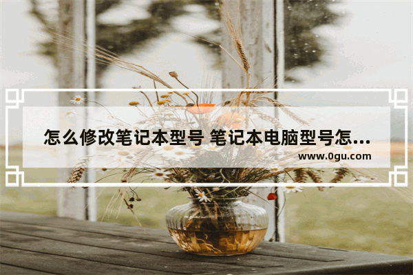 怎么修改笔记本型号 笔记本电脑型号怎么修改