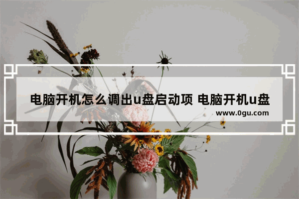电脑开机怎么调出u盘启动项 电脑开机u盘启动怎么设置