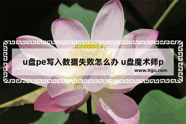 u盘pe写入数据失败怎么办 u盘魔术师pe数据分区失败
