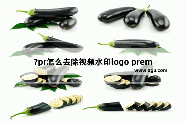 ?pr怎么去除视频水印logo premiere无痕去水印的方法教程