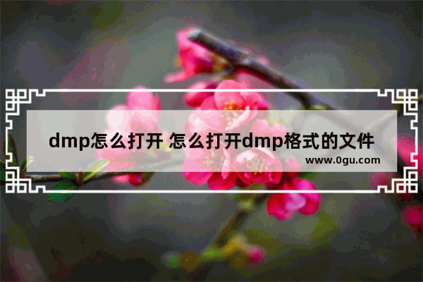 dmp怎么打开 怎么打开dmp格式的文件