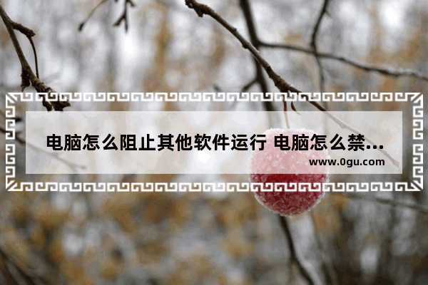 电脑怎么阻止其他软件运行 电脑怎么禁止其他软件联网