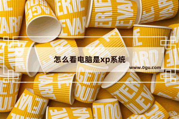 怎么看电脑是xp系统