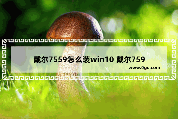 戴尔7559怎么装win10 戴尔7591装win7