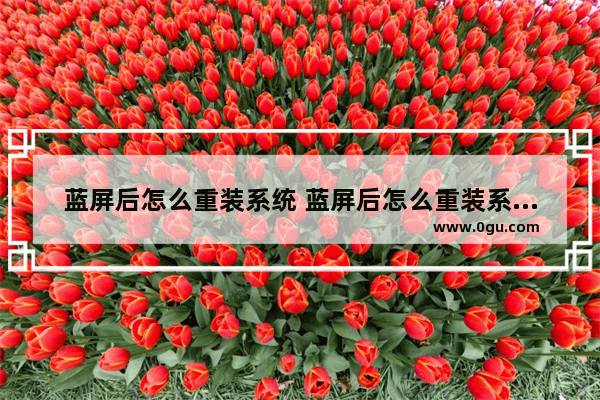 蓝屏后怎么重装系统 蓝屏后怎么重装系统win7