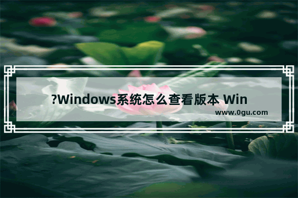 ?Windows系统怎么查看版本 Windows查看系统是win几的方法教程