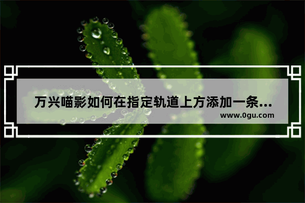 万兴喵影如何在指定轨道上方添加一条新轨道 万兴喵影在指定轨道上方添加一条新轨道的方法