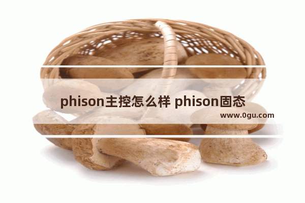 phison主控怎么样 phison固态怎么样