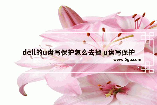 dell的u盘写保护怎么去掉 u盘写保护了怎么去掉保护
