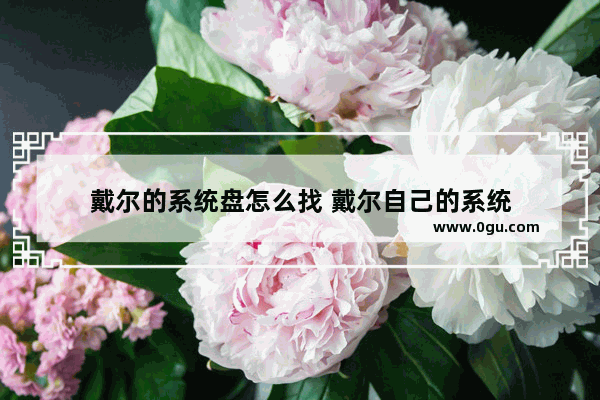 戴尔的系统盘怎么找 戴尔自己的系统