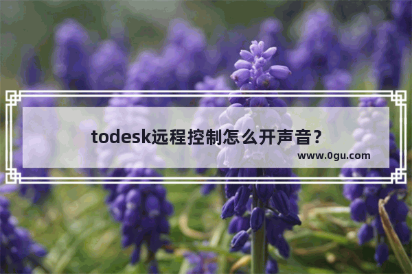 todesk远程控制怎么开声音？