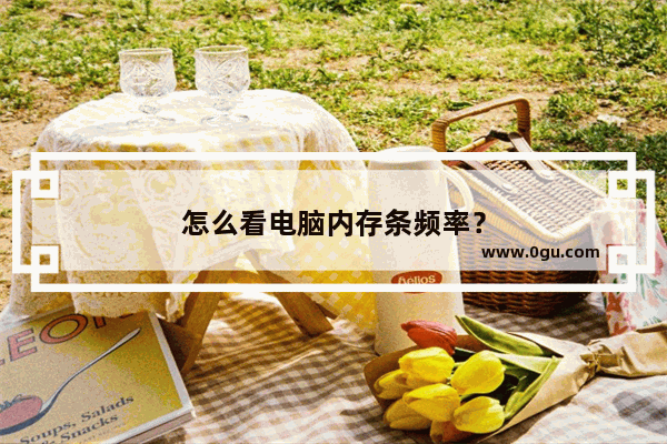 怎么看电脑内存条频率？