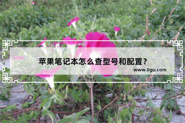 苹果笔记本怎么查型号和配置？