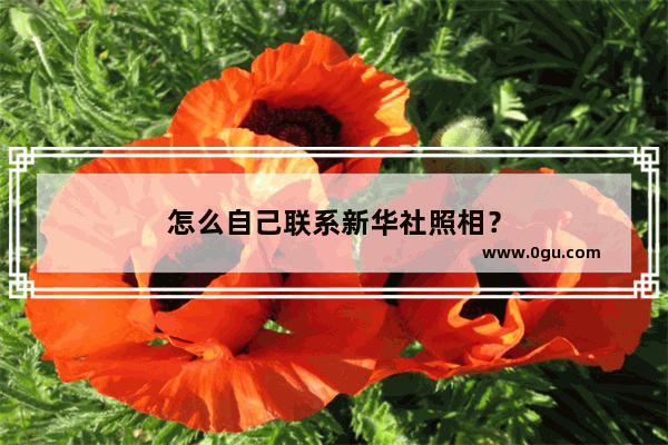 怎么自己联系新华社照相？