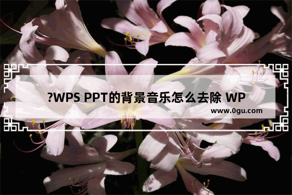 ?WPS PPT的背景音乐怎么去除 WPS PPT删除背景音乐的方法教程