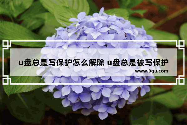 u盘总是写保护怎么解除 u盘总是被写保护是不是坏了