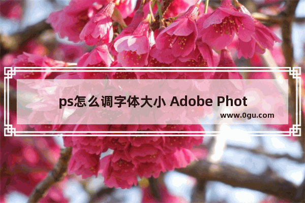 ps怎么调字体大小 Adobe PhotoShop调整字体大小的方法