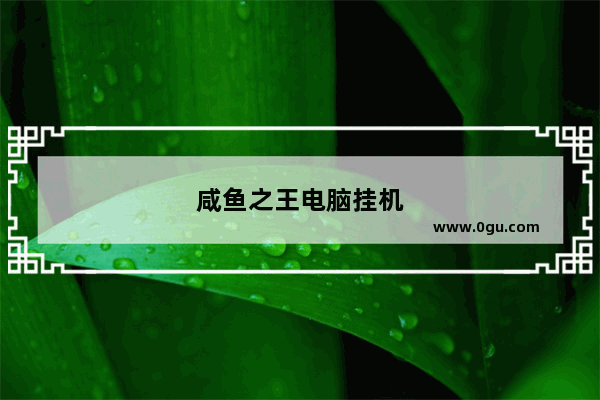 咸鱼之王电脑挂机