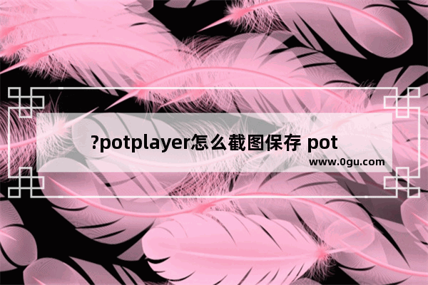 ?potplayer怎么截图保存 potplayer播放器截屏的方法教程
