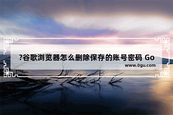 ?谷歌浏览器怎么删除保存的账号密码 Google Chrome清除已保存的账号密码的方法教程