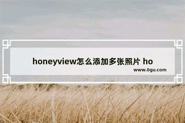 honeyview怎么添加多张照片 honeyview批量添加照片的方法