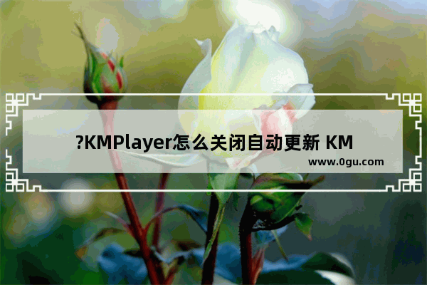 ?KMPlayer怎么关闭自动更新 KMPlayer禁止自动更新和去广告的方法教程