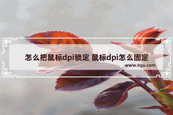 怎么把鼠标dpi锁定 鼠标dpi怎么固定