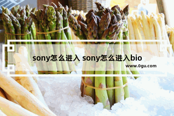 sony怎么进入 sony怎么进入bios设置