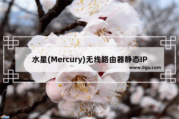 水星(Mercury)无线路由器静态IP地址分配方法