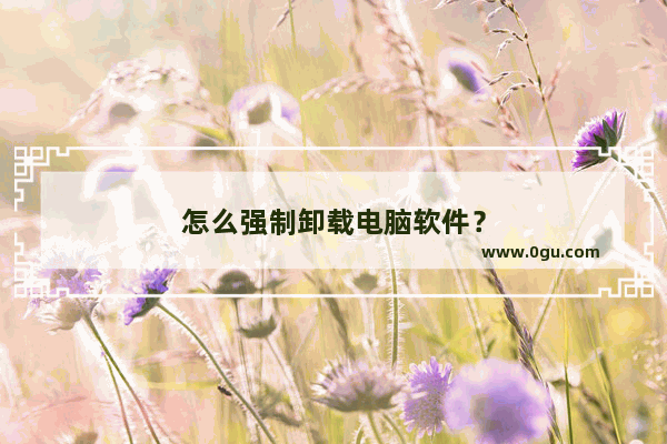 怎么强制卸载电脑软件？