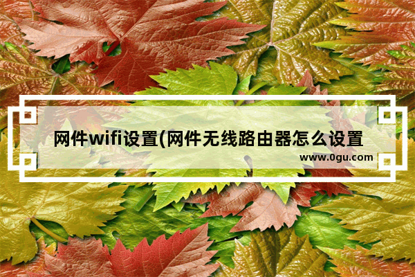 网件wifi设置(网件无线路由器怎么设置)