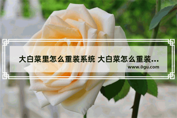 大白菜里怎么重装系统 大白菜怎么重装系统win11