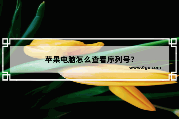 苹果电脑怎么查看序列号？