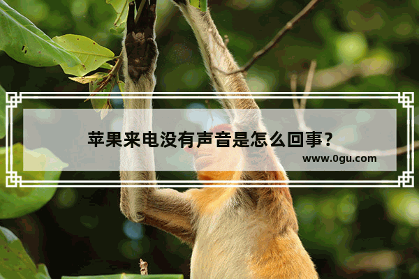苹果来电没有声音是怎么回事？