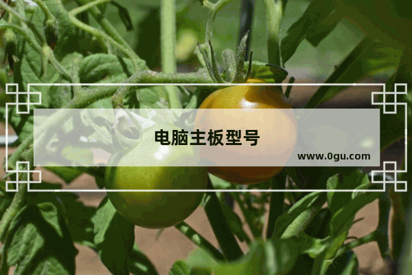电脑主板型号