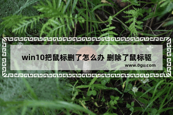 win10把鼠标删了怎么办 删除了鼠标驱动怎么办