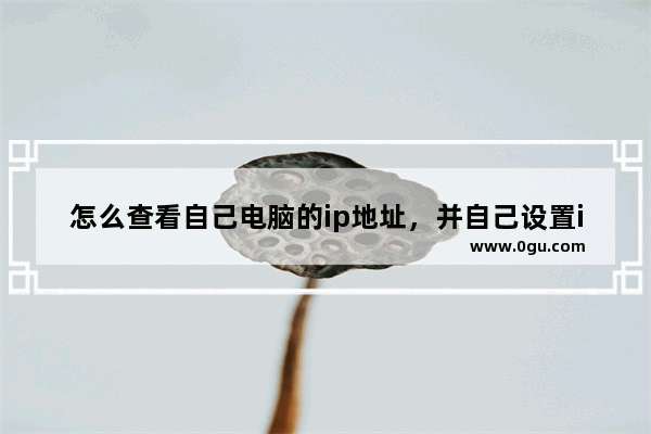 怎么查看自己电脑的ip地址，并自己设置ip地址？