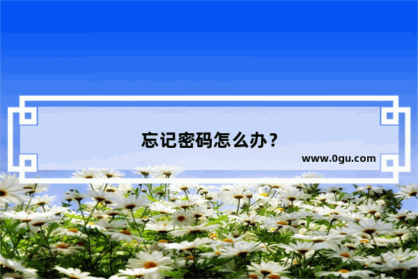 忘记密码怎么办？