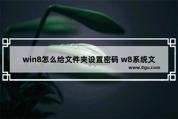 win8怎么给文件夹设置密码 w8系统文件夹怎么设置密码