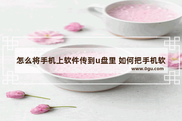 怎么将手机上软件传到u盘里 如何把手机软件传到u盘里