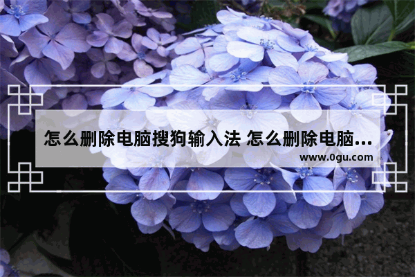 怎么删除电脑搜狗输入法 怎么删除电脑搜狗输入法记忆