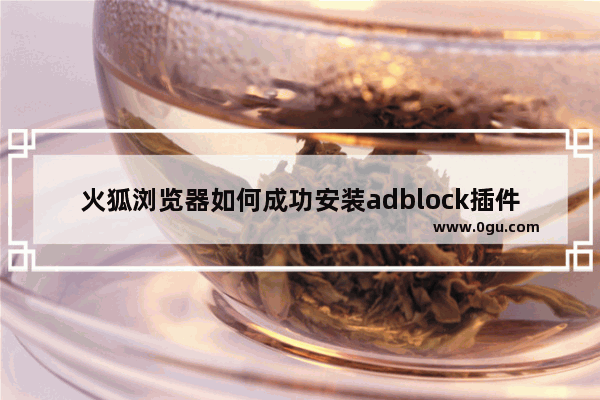 火狐浏览器如何成功安装adblock插件 火狐浏览器安装adblock插件的方法